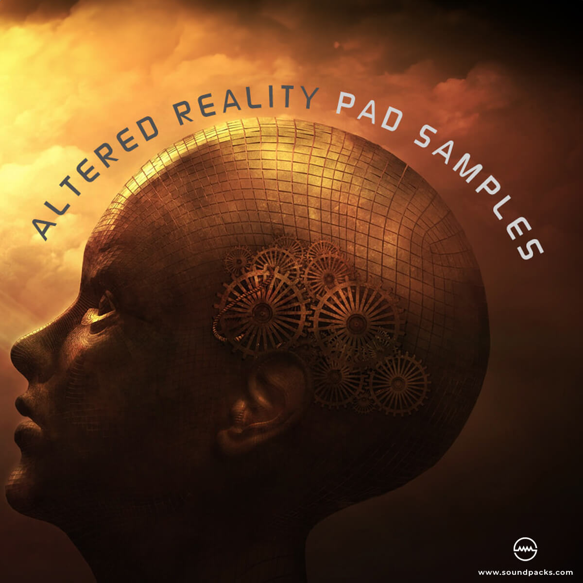 Altered Reality Pad Samples